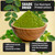 MAJU's Organic Moringa Powder (1 Pound), Oleifera Leaf, Extra-Fine Quality, Dried Drumstick Tree Leaves, For Tea, Smoothies, Food-Grade