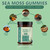 FW ZONE Sea Moss Gummies 16-in-1 with Black Seed Oil, Ashwagandha, 30 Servings, Irish Seamoss Gummies Boosts Immune Support, Wellness and Digestion
