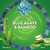 Air Wick Plug-In Scented Oil Refills, 4 Count, Blue Agave and Bamboo, Air Freshener, Essential Oils