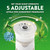 Air Wick Plug-In Scented Oil Refills, 4 Count, Blue Agave and Bamboo, Air Freshener, Essential Oils