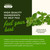 Swanson Oregano Oil 10:1 Extract, 150 mg, 120 Softgels, 2 Pack