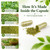 Organic Moringa Capsules 800mg, 3rd Party Tested & Non-GMO, 120 Count