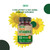 DEVA Vitamin D3 5000 IU, Sunshine Supplement, 125 mcg of Vegan D3, 90-Count Bottle