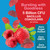 YUM-V'S Sugar Free Probiotic Gummies - Probiotics for Men & Women to Help Support Digestive Function – Adults & Kids Probiotic with 5 Billion CFU Bacillus Coagulans – Vegan & Gluten-Free (Pack of 2)