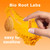 1pcsBio Root Labs Turmerc Curcumin Supplement, BioRoot Labs Tumeric Curcumin 1,00omg - 95% Curcuminoids wth Black Pepper & Ginger,Fat Soluble Vitamin C,Enhanced Absorption,120 Capsules (1PCS)