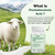Pentadecanoic Acid, Pentadecanoic Acid Formula Supplement, Sourced from High-Altitude Sheep Milk, 60 Capsules