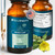 BRIOTHEORY Mullein Leaf Extract - Fast Absorbing Liquid Drops for Lungs, Natural Respiratory Support Herbal Supplement, Alcohol Free Vegan Non-GMO, Natural Mullein Leaf Extract - 60 ml