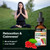 BIO KRAUTER Schisandra Tincture for Calmness & Relaxation, 2 Fl.Oz
