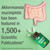 Peak Performance Akkermansia Probiotic Capsule to Increase GLP-1 Production
