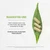 Secrets of the Tribe White Willow Capsules 800 mg White Willow (Salix Alba) Dried Bark (60 Capsules)