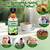 L-Lysine 1000mg Liquid Drops w. Monolaurin Olive Leaf Extract Vitamin C D3 & Zinc, 6-in-1 Essential Amino Acid Supplement for Immune Collagen Lip & Oral Health, Liposomal Lysine for Better Absorption