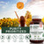 Natural Nutra Sunflower Lecithin Supplement 2000mg, Gluten-Free 120 Softgel