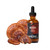 North Spore Organic Reishi Tincture, Mushroom Liquid Extract, 2 oz