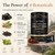 BIYODE Shilajit Gummies for Men Micronutrients: Pure Shilajit from Himalayan Rich in Ashwagandha Gaulshura Fulvic Acid 85 Micronutrients Suitable for Men No Added Sugar 60 Gummies 30 Day Supply
