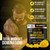 Sugar Free Creatine Monohydrate Gummies 5000mg Per Serving, Mango Flavor, with Turmeric Root & Black Pepper, Vegan Creatine Gummies for Men & Women, 120 Gummies, 30 Servings Creatine Gummies 5g