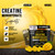 Sugar Free Creatine Monohydrate Gummies 5000mg Per Serving, Mango Flavor, with Turmeric Root & Black Pepper, Vegan Creatine Gummies for Men & Women, 120 Gummies, 30 Servings Creatine Gummies 5g
