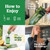 PuriVibe Chlorophyll Powder Drink, Greens,120mg, Lemon & Apple, 15 Sticks
