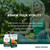 Host Defense Chaga Capsules, Immune System Support, 60 Capsules