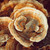Pure Original Ingredients, Turkey Tail Mushroom Powder, 1lb