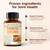 Turmeric Curcumin Supplement - 1200 mg Organic Turmeric + Tumeric Extract (95% Curcuminoids) for Joint Support & Digestive Health - Turmeric Supplement - Pure Curcumin with Black Pepper - 60 Capsules