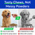 Turkey Tail Mushroom Chews for Dogs - Fat Lumps & Bumps, Lipoma Supplement