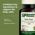 Standard Process Fen-Cho - Digestive & Gut Health Supplement - Gluten-Free, Non-Dairy & -Soy - 90 Capsules (45 Servings)