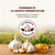 Vitalisse AJO Envejecido, Organic Odorless Aged Garlic Extract