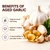 Vitalisse AJO Envejecido, Organic Odorless Aged Garlic Extract