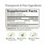 Dr. Clark Vitamin B1 Thiamine 400mg Supplement -Thiamine B1 Supplement for Healthy Nervous System & Energy Metabolism, Gluten-Free, Dairy Free - 100 Gelatin Capsules