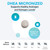XYMOGEN DHEA Micronized, 60 Tablets