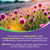 4-in-1 Milk Thistle Complex for Men & Women, Milk Thistle Extract with 240mg of Active Silymarin, 80% Std, with Dandelion, Choline, Zinc, Liver Detox & Repair, Non-GMO, Once Daily, 90 Veggie Caps