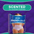 Always Discreet MaxiProtect Adult Diapers for Women, Incontinence Underwear, Scented, Postpartum Essentials, Bladder Leak Protection, Disposable Briefs, Maximum Plus Absorbency, Size L, 64 Count