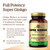 Solgar Super Ginkgo, 120 Vegetable Capsules - Full Potency (FP)