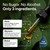 BIO KRAUTER Ginger Root Tincture for Digestive Support & Daily Wellness