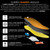 CURREX RunPro Insoles for Running Shoes, Arch Support Inserts to Help Reduce Fatigue, Prevent Injuries, Boost Performance for Men & Women (High Arch, Medium Size)