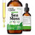 Wild & Organic Sea Moss Liquid Drops - Immune Support w/Bladderwrack - 2oz