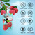 Hethstia Konjac Jelly, 10 Pouches Drinkable Light Lychee Snacks