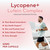 Lutein & Lycopene Carotenoids Supplement - High Absorption Lutein and Lycopene Supplements for Men & Women for Antioxidant Skin and Eye Health Support - Formulated in American cGMP Lab (200 Capsules)