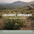 Wild Oregano Oil Softgels, Organic, 86-90% Carvacrol, 60 Vegan Softgels