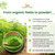 Organic Veda Moringa Powder - USDA Certified Organic Moringa Powder Superfood - Premium Harvest Single Origin True Green Moringa Oleifera, Vitamins, Antioxidants Nutrients Dense Leaf Powder - 16 oz