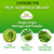 Organic Veda Moringa Powder - USDA Certified Organic Moringa Powder Superfood - Premium Harvest Single Origin True Green Moringa Oleifera, Vitamins, Antioxidants Nutrients Dense Leaf Powder - 16 oz