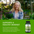 Swanson Rosemary Extract - Standardized 500 mg 60 Caps (2 Pack)