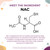 Body Kitchen Mega NAC 600mg N-Acetyl Cysteine with Quercetin Supplement
