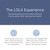 LOLA Organic Cotton Tampons, 60 Count - Tampons Regular, Period Feminine Hygiene Products, HSA FSA Approved Products Feminine Care