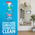 Windex Refill Original Blue Glass and Window Cleaner Bottles + 1 Reusable Spray Trigger, Surface Cleaning Spray, Original Blue Scent, 32 Fl Oz (Pack of 3)