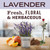 MRS. MEYER'S CLEAN DAY Laundry Detergent, Lavender, 64 fl oz, 2 Pack