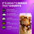 Everyday Dose Bold Medium Roast Mushroom Coffee 90mg Caffeine per serving with Grass-Fed Collagen, Chaga, Lions Mane & L-Theanine for Better Focus, Energy, Digestion, Skin, and Immunity 30 Servings