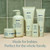 Pipette Fragrance Free Wash and Lotion Duo, Pack of 2, Fragrance Free Baby Shampoo and Body Wash, Unscented Lotion for Newborns, Sensitive Skin, and Kids, Tear-Free Bath Time, Hypoallergenic