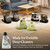 Bissell Little Green Formula, 60 oz, 20386