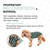 BellyGuard Dog Surgery Recovery Suit, Male Female After Spay Neuter Onesie